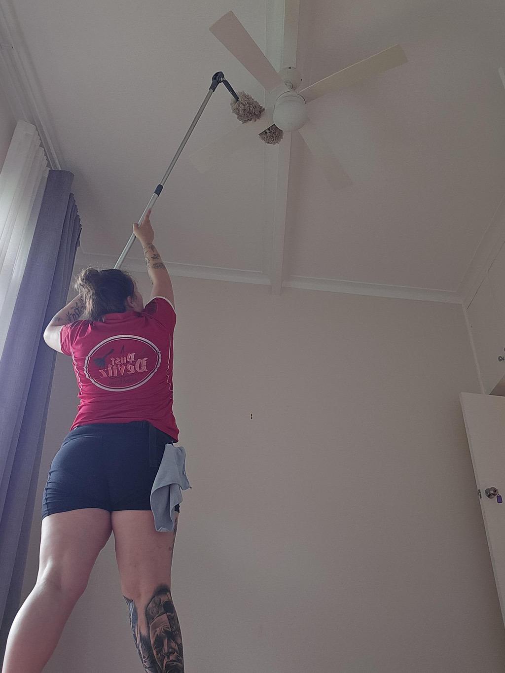 Detail dusting, ceiling fans